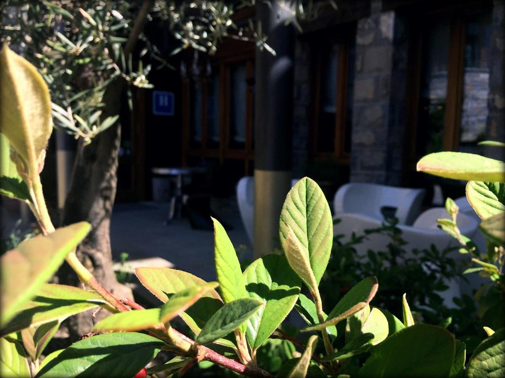 Abadia Del Pirineo Hotel Tramacastilla de Tena Ngoại thất bức ảnh